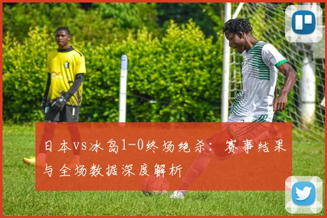 日本vs冰岛1-0终场绝杀：赛事结果与全场数据深度解析