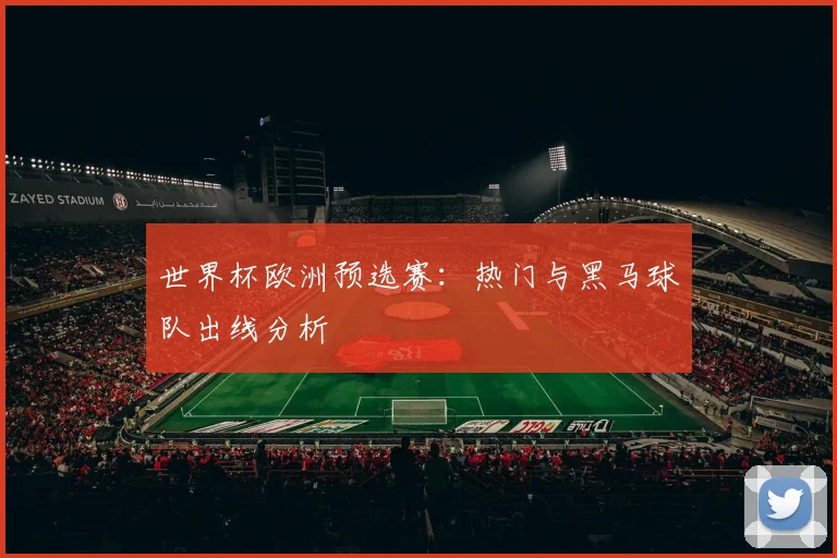 世界杯欧洲预选赛：热门与黑马球队出线分析